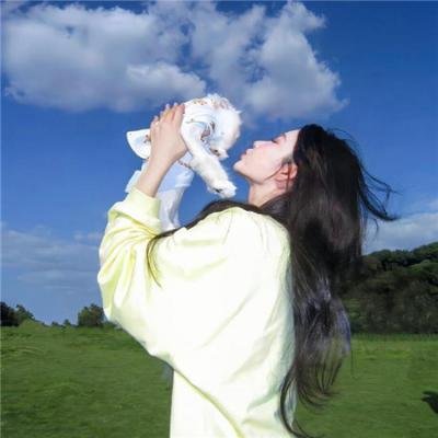 玫瑰于灰烬中重绽